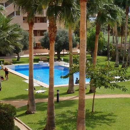 Apartamento Alcoy El Albir Dış mekan fotoğraf